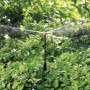 Claber Strip Micro-Irrigator Blisterpackung mit 10 Stück Kabeljau. 91257