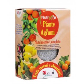 Nourriture granulaire ZAPI PLANTES D'AGRUMES 1 kg cod. 306575