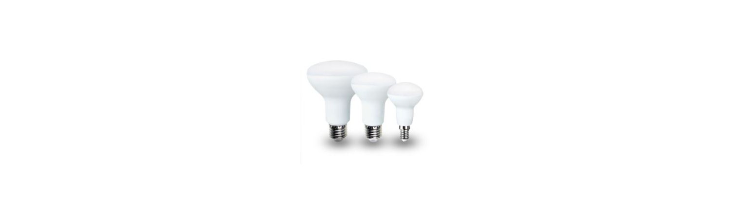 Led bulbs R50 - R63 - R80 - PAR20