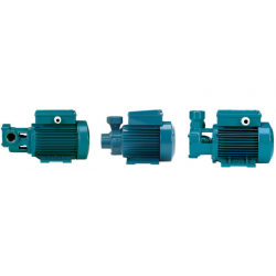 Calpeda peripheral and gear pumps.