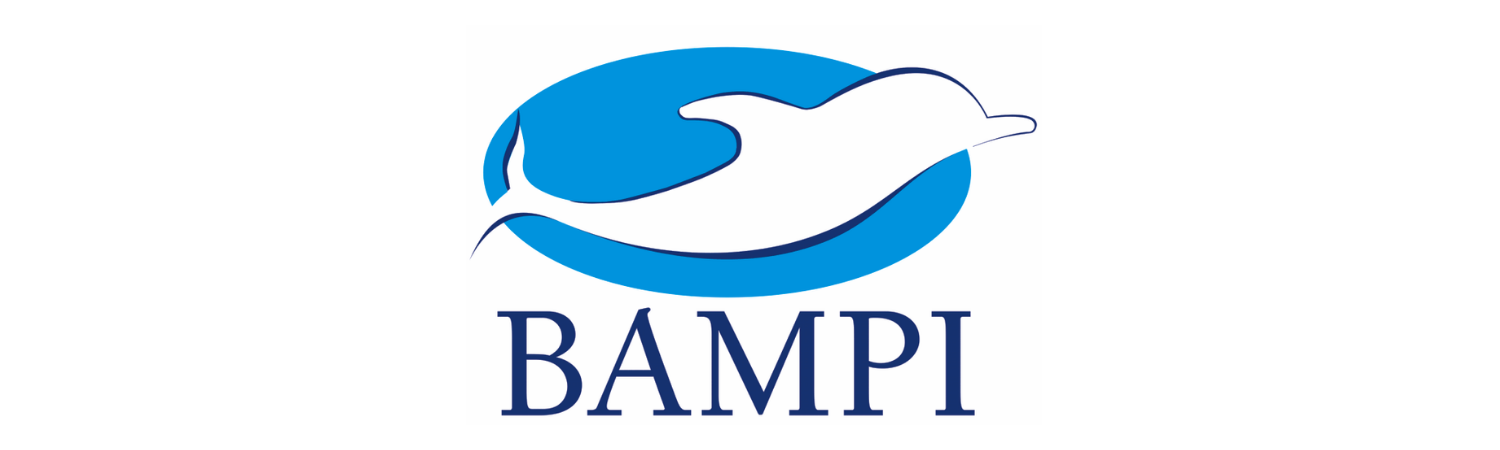 Bampi - cisterns and toilet spare parts. Online selling.