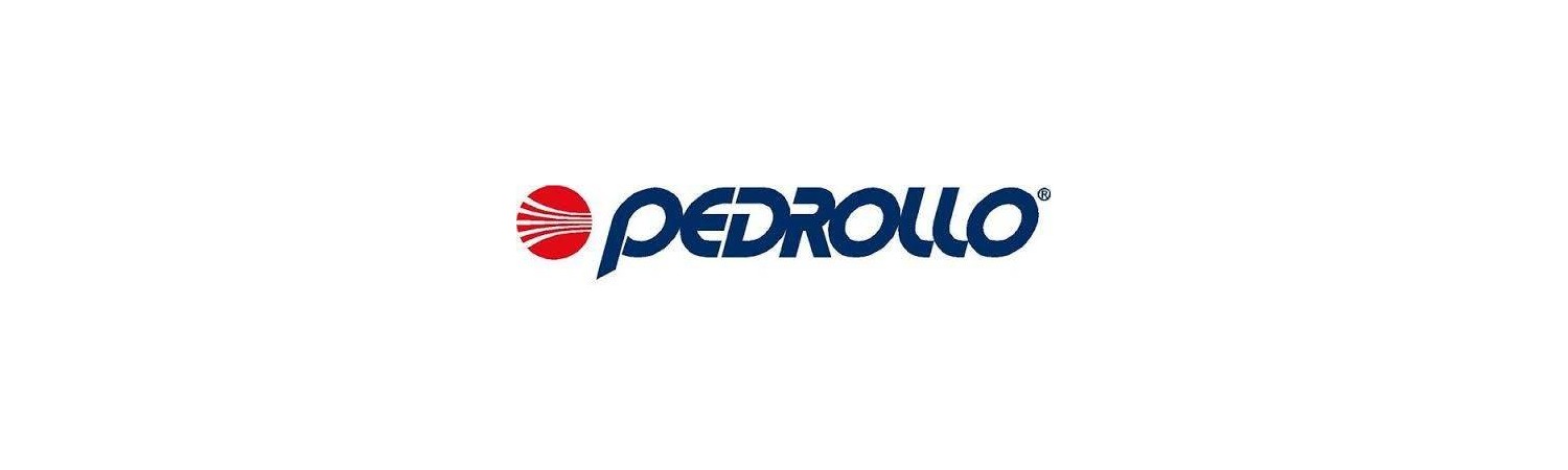 Pedrollo: Italiens ledare inom hydrauliska pumplösningar